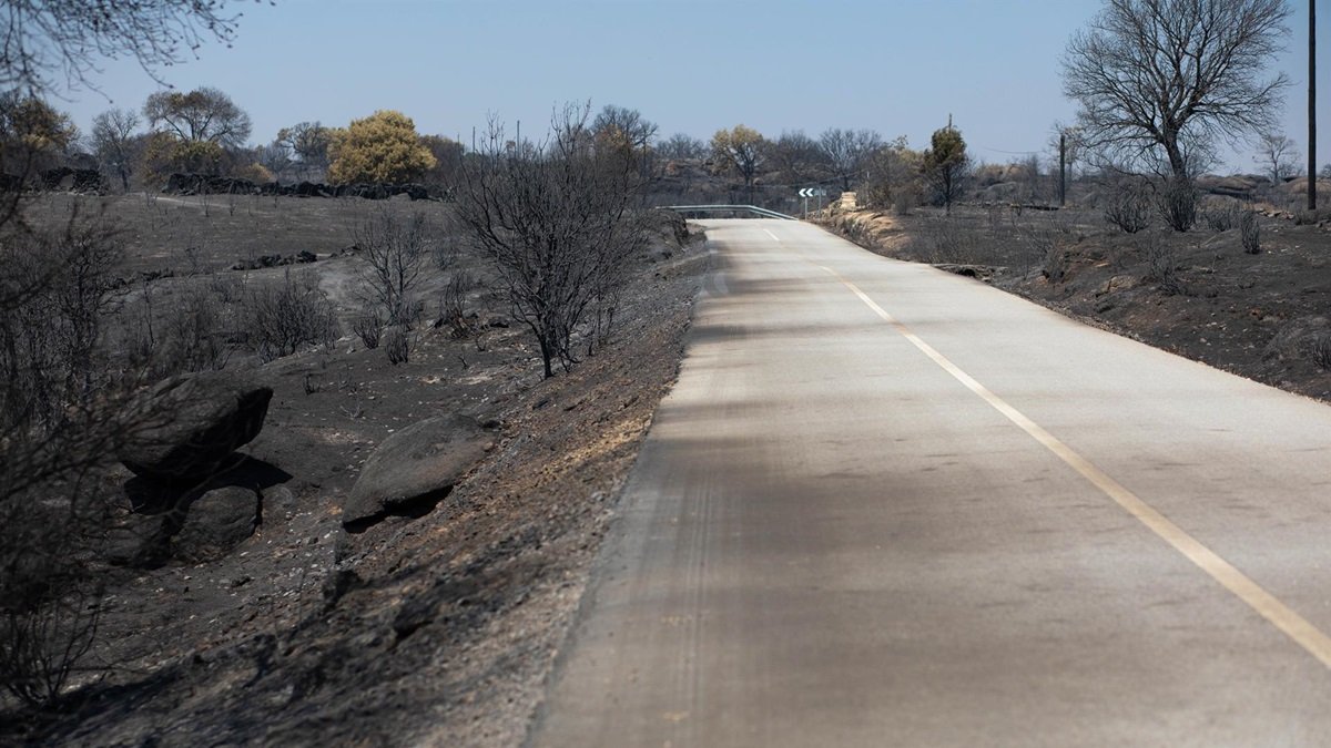 Tierra quemada por un incendio forestal, el 31 de julio de 2026, en Fornillos de Fermoselle, Zamora.