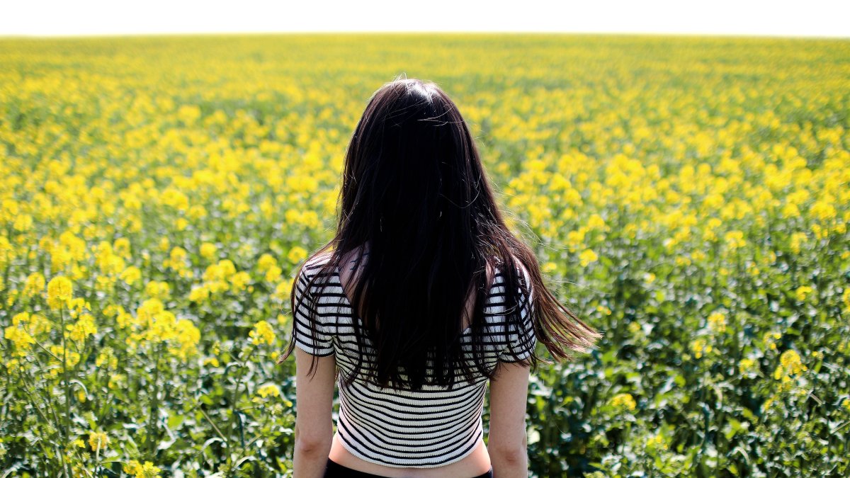 Una mujer observa un cultivo de colza