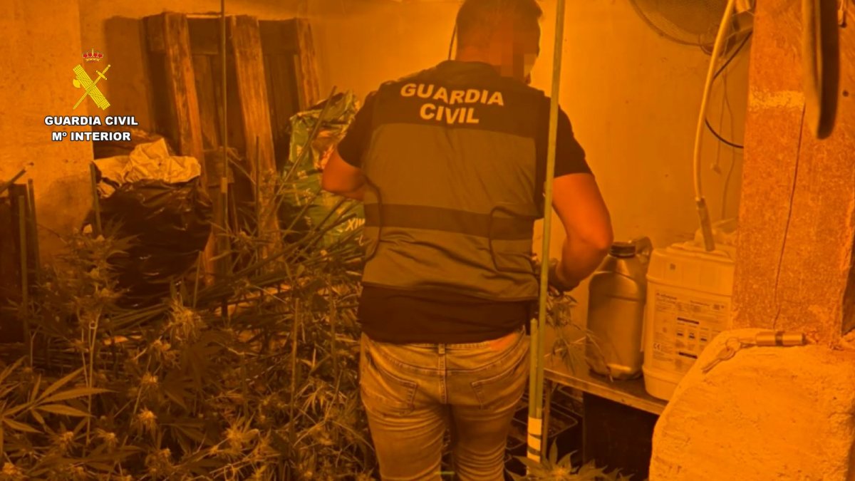 Fuente: SUBDELEGACIÓN