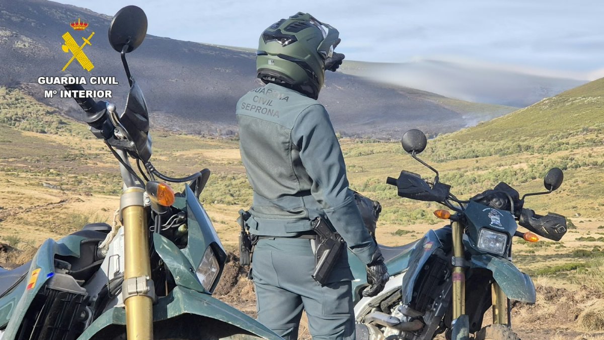 Agentes del Seprona de la Guardia Civil.