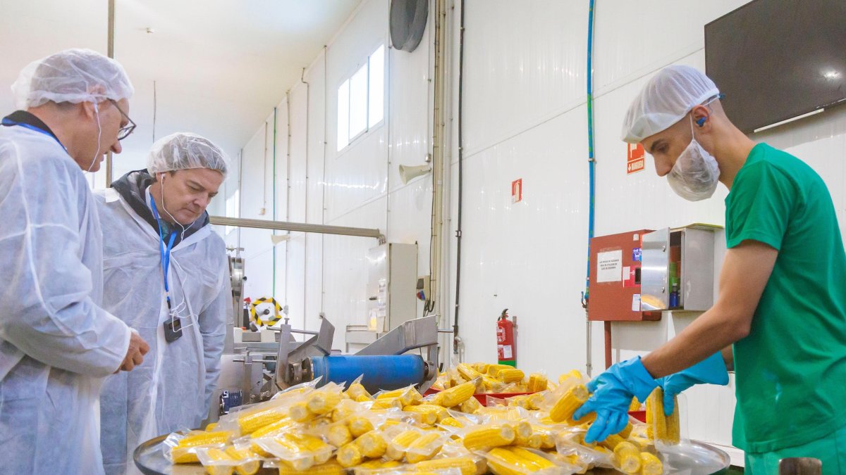 Huercasa invierte 25 millones en una nueva fábrica de procesado de maíz ...