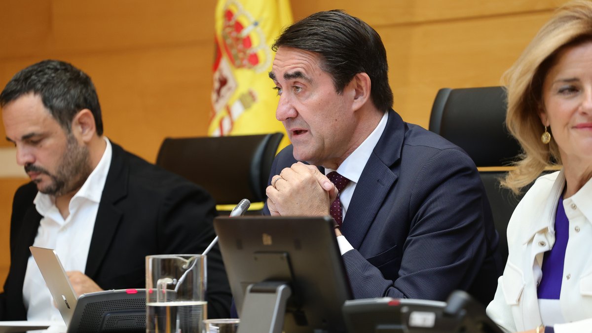 El consejero de Industria, Universidades, Empleo y Comercio comparece en las Cortes.