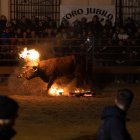 El Toro Jubilo de Medinaceli. SARA RONCAL