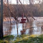 El Duero, desbordado, junto al monasterio de Santa María de Valbuena. -E.M.