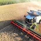 Una cosechadora atraviesa un campo de cereal. PQS / CCO