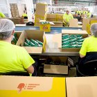 Trabajadores de una fábrica de 'snacks' en Burgos. ICAL