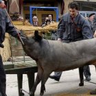 Imagen de la matanza que ha sido criticada por la organización animalista.