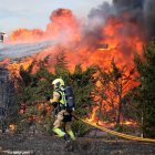 Bomberos trabajando en el incendio de Aldea de la Valdoncina