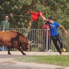Imagen de archivo del Toro de la Vega 2024 de Tordesillas, donde un participante resultó corneado.