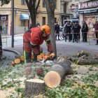 Tala de árboles en la plaza del Oeste de Salamanca.