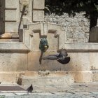Palomas junto a la fuente de la plaza de la Libertad en la capital burgalesa.