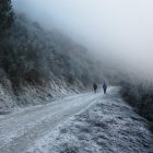 Imagen de archivo de una helada acompañada de niebla en El Bierzo.