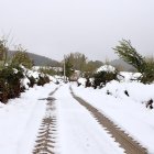 Carretera de montaña en la localidad palentina de Gramedo.