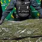 Cannabis incautado por la Guardia Civil