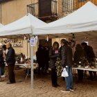 Ediciones anteriores de la Feria del Acebo de Prádena