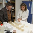 El diputado Javier Figueredo en el laboratorio de Prodestur.