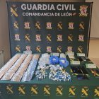 Sustancias estupefacientes decomisadas en León.