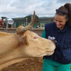 Elena Laguno, presidenta del Colegio de Veterinarios de Zamora.