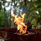 La normativa prohíbe el encendido de barbacoas en zonas de monte o próximas hasta el 12 de octubre.