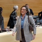 La consejera de Medio Ambiente y Energía, María González Corral, comparece ante la Comisión de Economía y Hacienda de las Cortes.