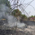 Incendio forestal declarado en solares de Villabalter, municipio de San Andrés del Rabanedo (León). - ICAL