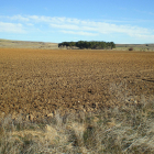 Imagen de archivo de tierras sufriendo la sequía en Ávila.- ICAL