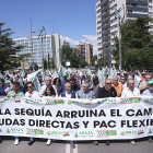 Manifestación de agricultores y ganaderos en Valladolid, para reclamar ayudas por la sequía. ICAL