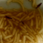Imagen de los gusanos en una sopa servida en el Hospital de León. E.M.