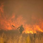 Trabajos de extinción del incendio de la Sierra de la Culebra en Zamora.- E. M.