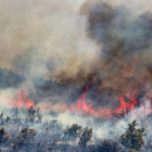 Incendio en Losacio, Zamora