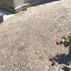 Flores en el área de excavación de la fosa en el cementerio de Villadangos. ARMH