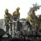 Integrantes del operativo contra incendios apagan un incendio en la localidad zamorana de Salce de Sayago.- ICAL