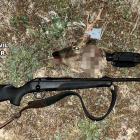 Intervienen tres rifles de caza, tres visores térmicos y dos cabezas de corzo por prácticas cinegéticas irregulares en la comarca del Arlanza (Burgos). -ICAL