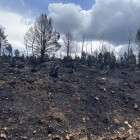 Más de 30.800 hectáreas de masa forestal se han quemado en el incendio de la Sierra de la Culebra, en Zamora.- A. Calvo