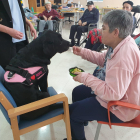 Terapia con animales en la Residencia de Mayores 'La Alameda' en Segovia. -E.M.