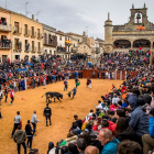 Carnaval del Toro en Ciudad Rodrigo en Salamanca.- ICAL