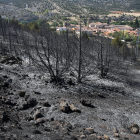 Efectos del incendio en varios pueblos de la comarca del Arlanza en Burgos.- ICAL