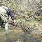 Una bióloga recoge muestras en la cuenca del Duero en una imagen de archivo. CHD