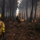 incendios en la Sierra de la Culebra, en Zamora.- E. PRESS