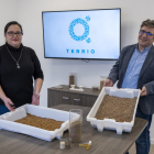 La empresa Tebrio, ubicada en Salamanca cría y procesa los gusanos de la harina para obtener fertilizantes y otros productos. - ICAL