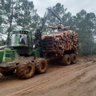 Recogida de madera por agentes medioambientales. -ICAL