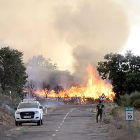 Incendio forestal en la localidad zamorana de Losacio, el pasado julio.- ICAL