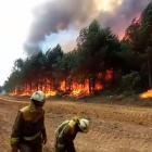 Profesionales de las brigadas contra los incendios a pocos metros de un bosque ardiendo en la Sierra de la Culebra en junio de 2022. - E. M.