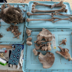 Imagen de archivo de restos óseos recuperados durante las labores de exhumación que la ARMH realiza en Medina del Campo (Valladolid).- ICAL