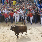 Toro enmaromado en Benavente. - E.M.