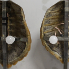 Caparazones de tortugas Carey intervenidos al ser utilizados como lámparas de un restaurante en Segovia. -GUARDIA CIVIL