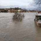 Varios ríos del norte de Burgos reciben ya alerta por riesgo de inundación.- E. M.