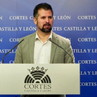 El secretario general del PSOE en Castilla y León, Luis Tudanca.- ICAL