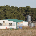 Fotografía de la granja de pavos de engorde de Fuenterrebollo, donde se ha detectado el primer foco de gripe aviar en aves domésticas. -ICAL