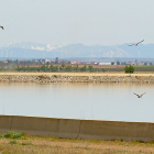 Nivel actual de la balsa de Villalón, una laguna artificial de 117 hectáreas y 10 hectómetros cúbicos.